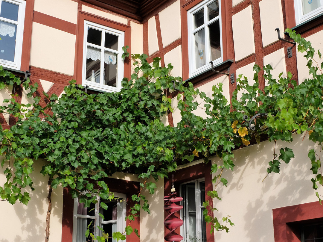 Weingut & Hotel Artur Steinmann主图