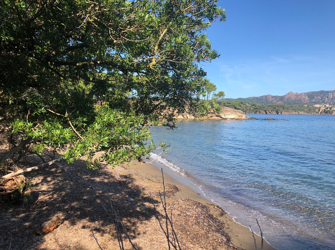 Spiaggia di Istia景点图片
