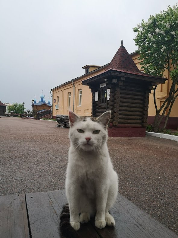 Zamkovaya Mountain-Mazyr必去景点