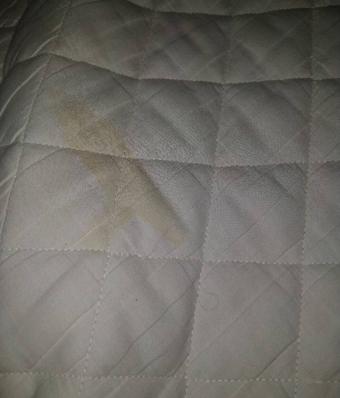 萨博亚埃斯托利尔酒店主图