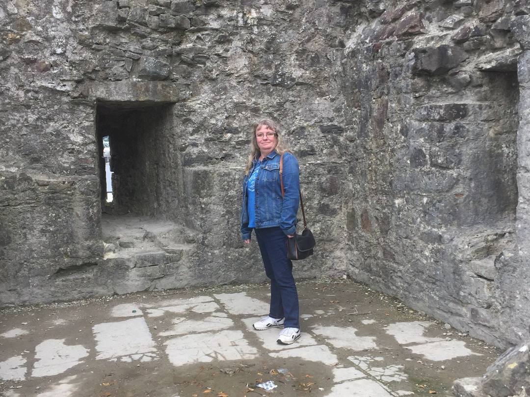 Carmarthen Castle景点图片