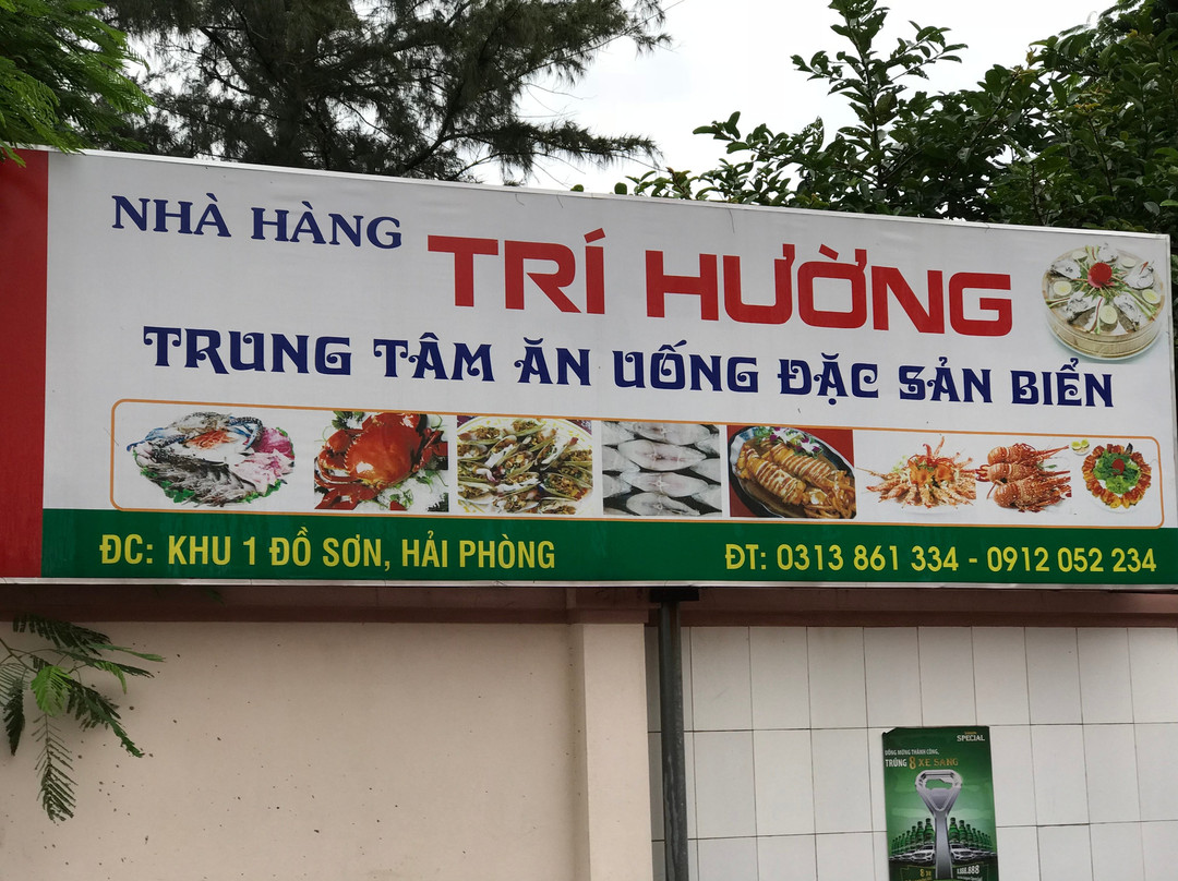 Lam Nghiep Do Son Hotel主图