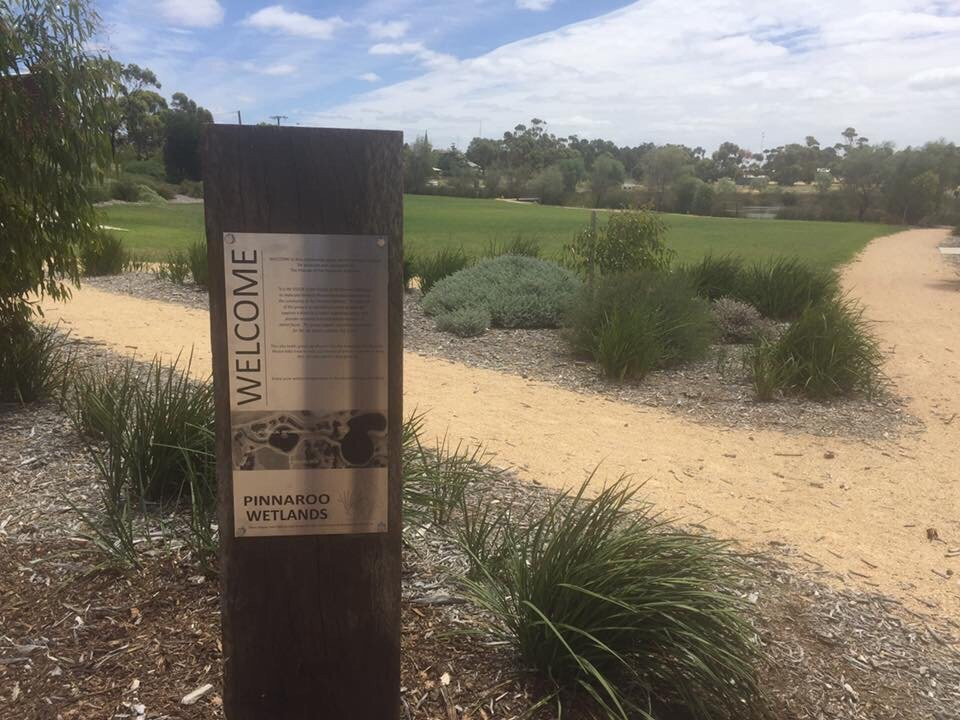 Pinnaroo Wetlands-Pinnaroo必去景点