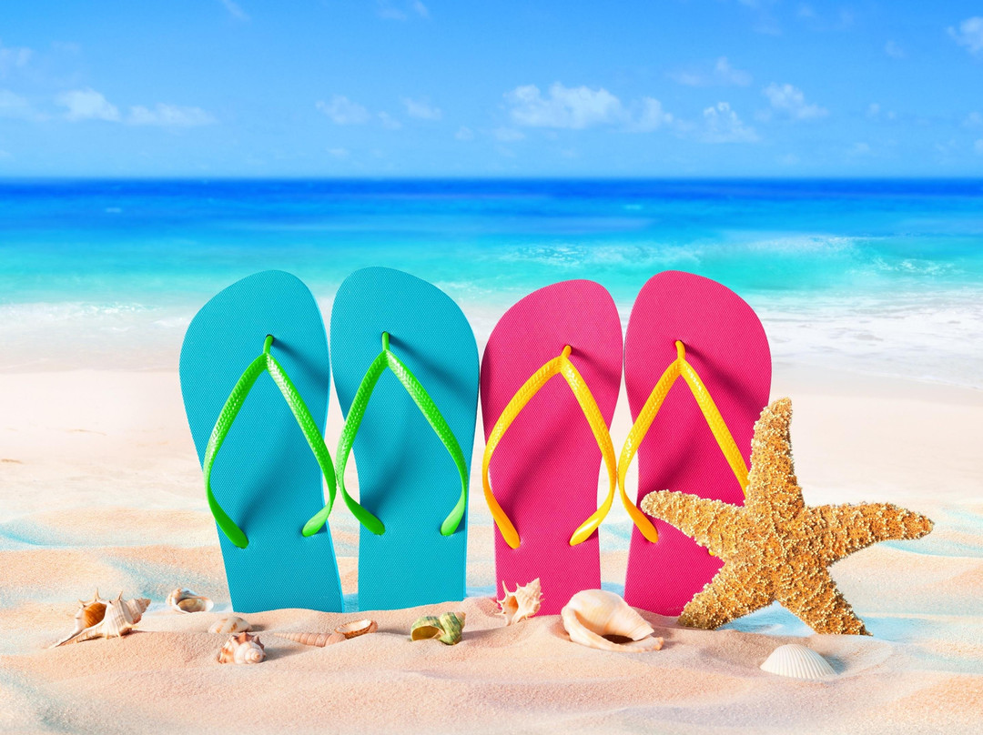 Shelting Tours Operador-蓬塔卡纳必去景点