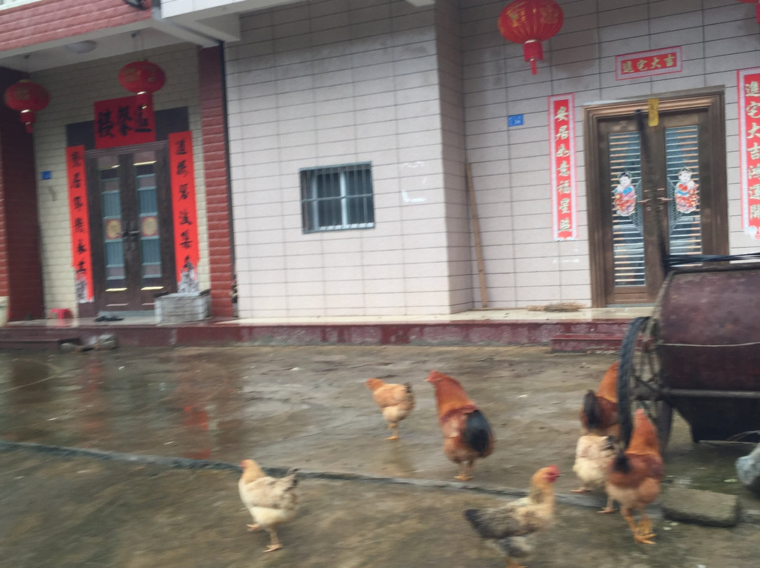 梅州花萼楼-大埔县必去景点