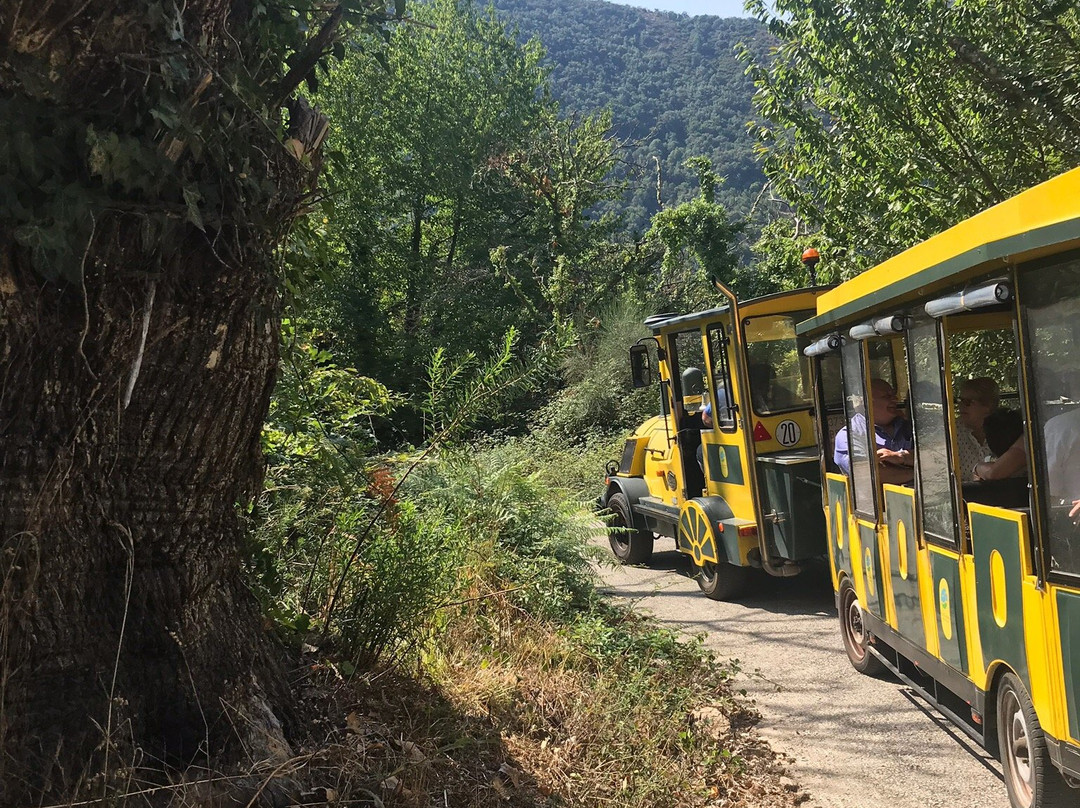 Tren Turistico Aba Sacra景点图片