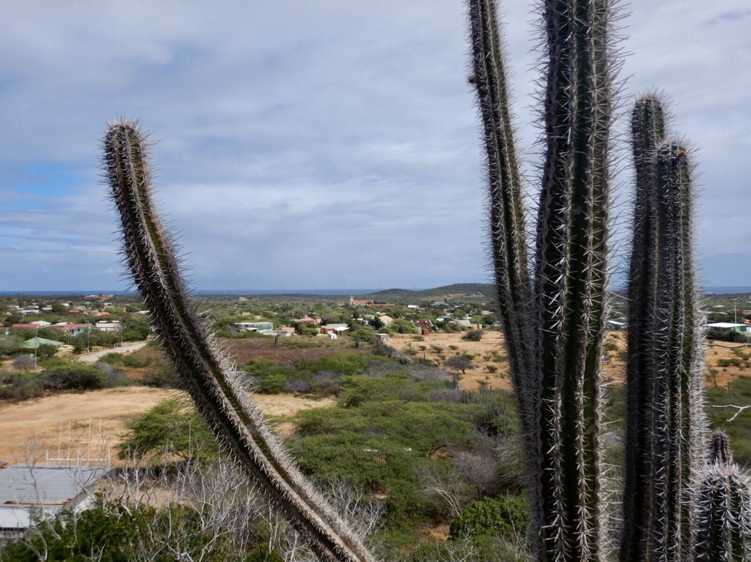 Gruta Lourdes-Rincon必去景点