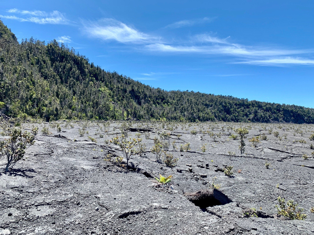 Kilauea EcoGuides-火山必去景点