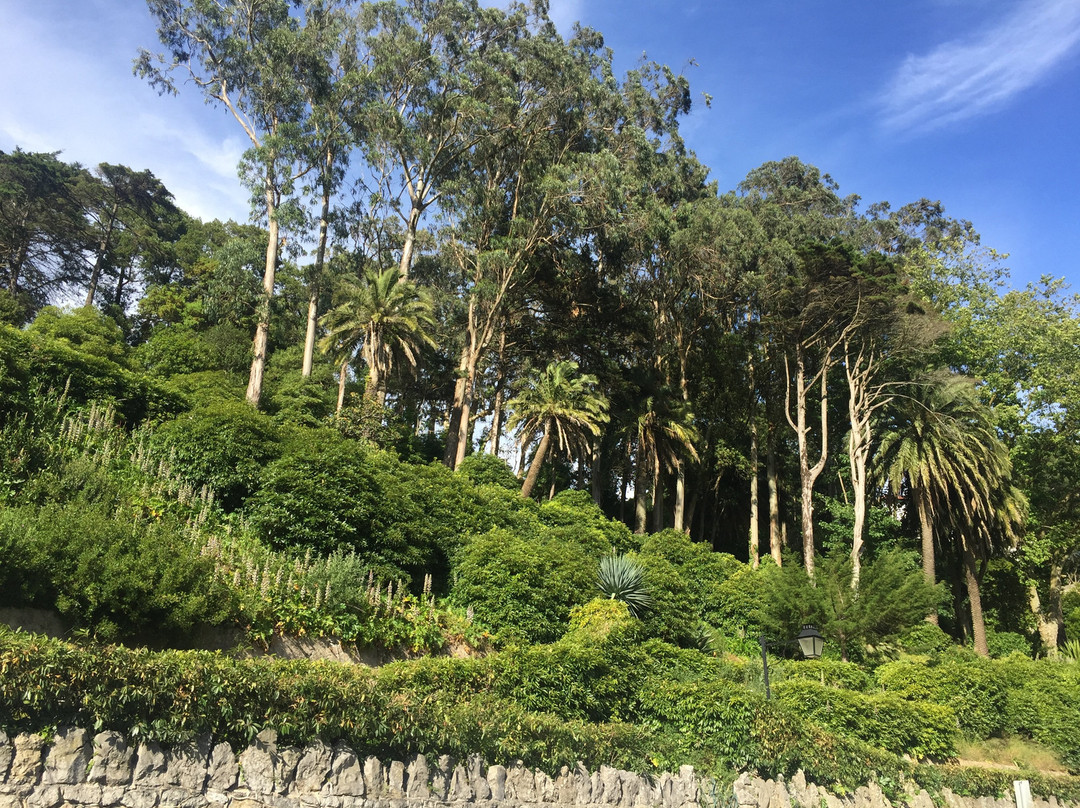 Anjos Teixera Museum景点图片