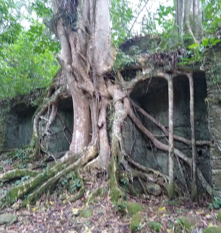 Ruinas da Lagoinha景点图片