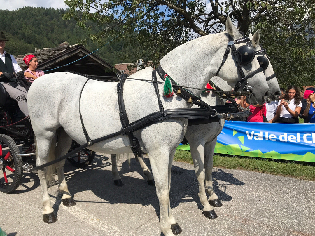 Altopiano di Boniprati-Prezzo必去景点