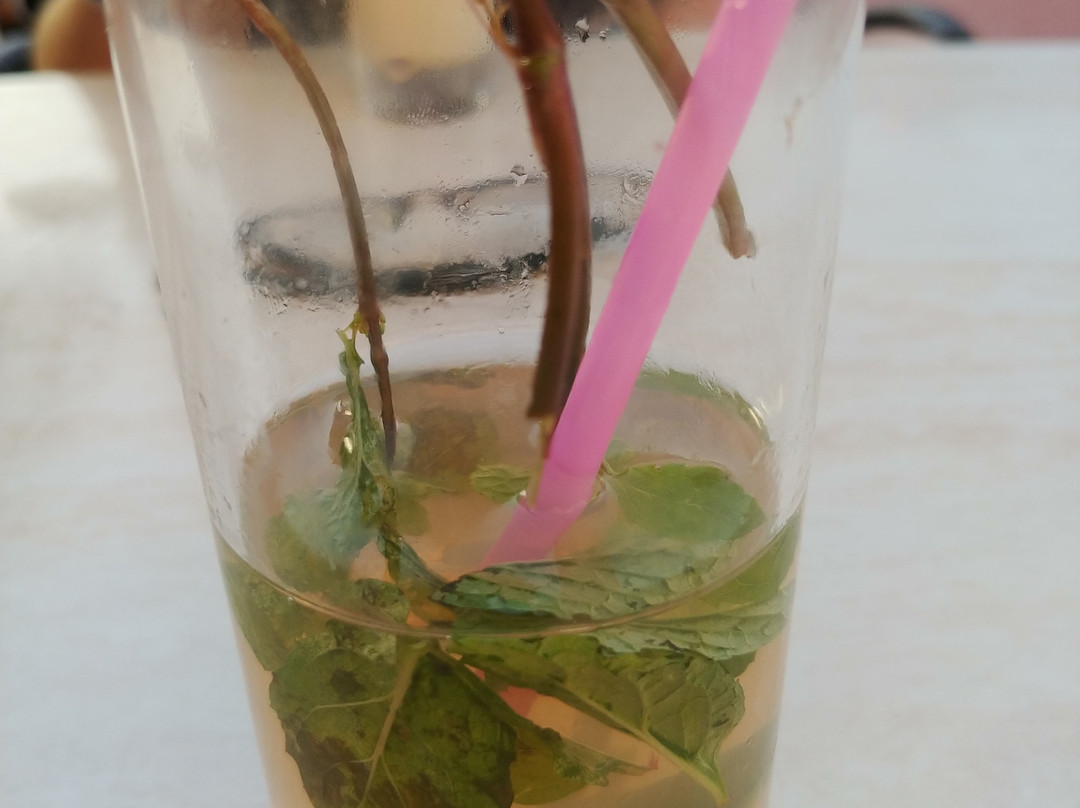 Starfish Cuatro Palmas主图