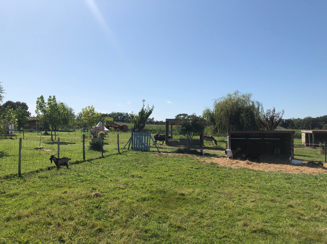 La Petite Ferme de Pouillon-Pouillon必去景点