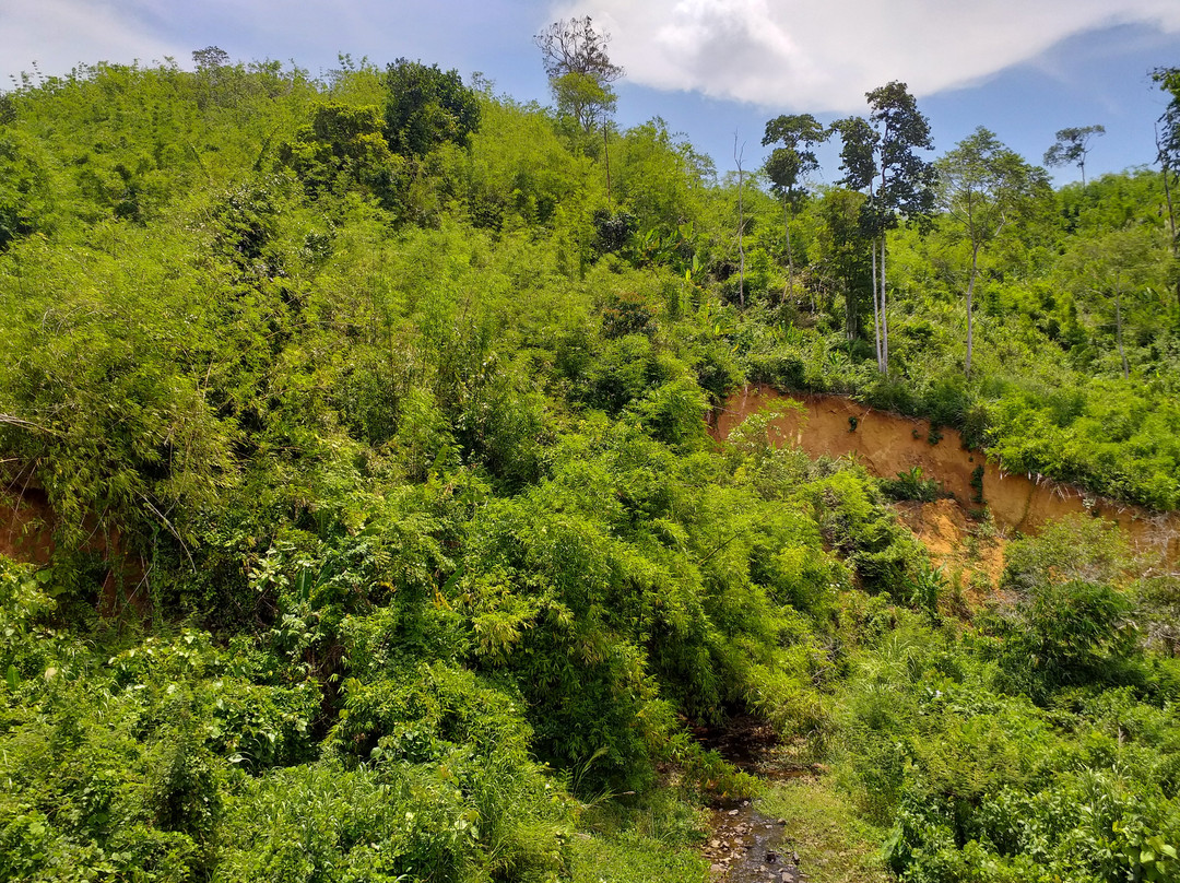 Cardamom Mountains-戈公必去景点
