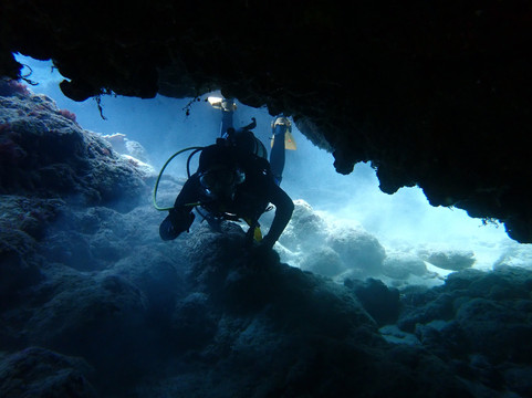 Dive 7 Seas Okinawa-名护市必去景点