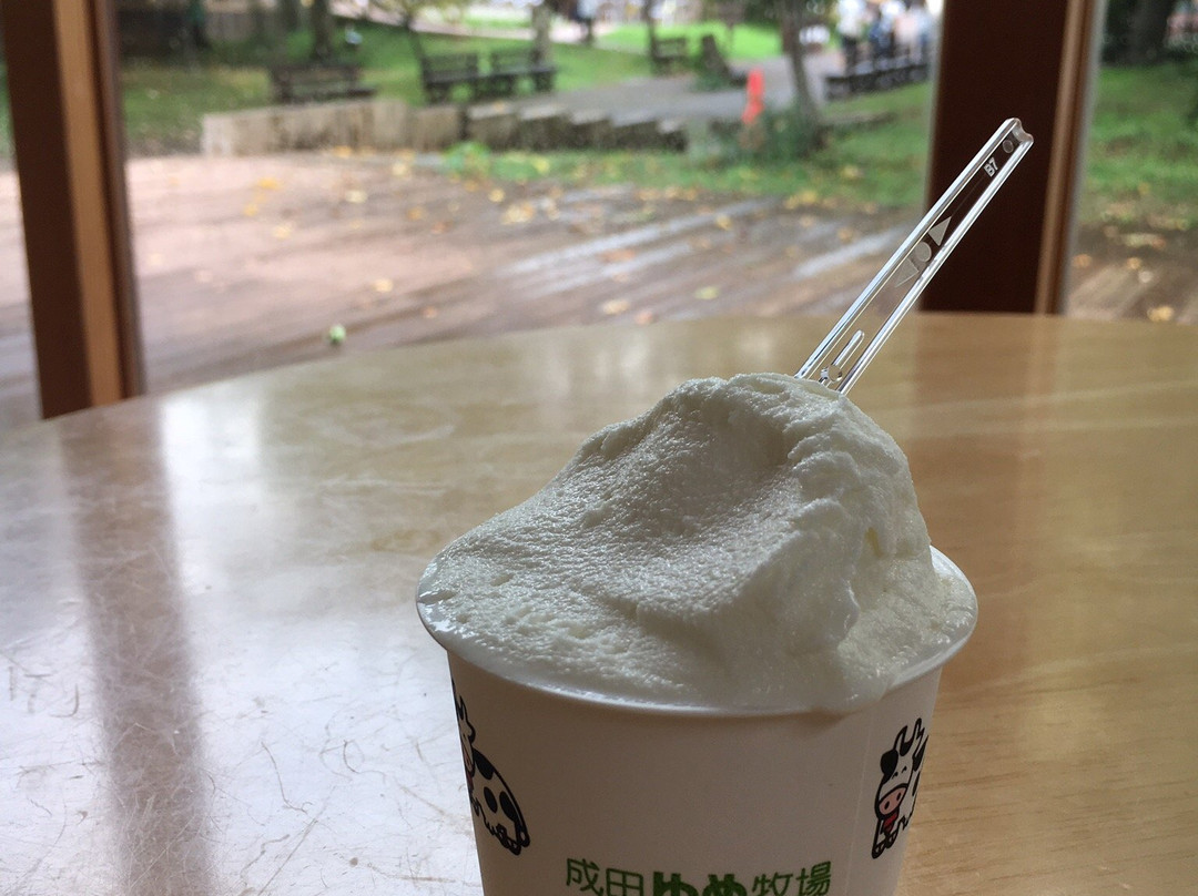Narita Yume Farm-成田市必去景点