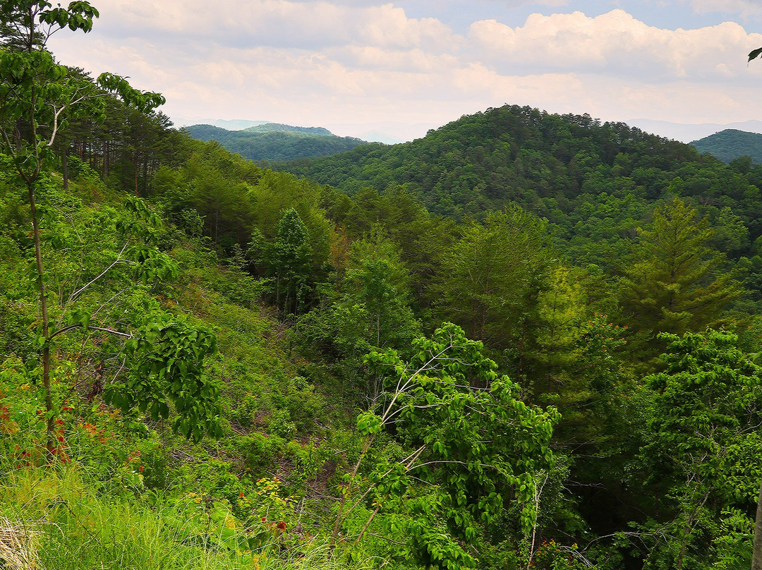 Foothills Parkway-大雾山国家公园必去景点