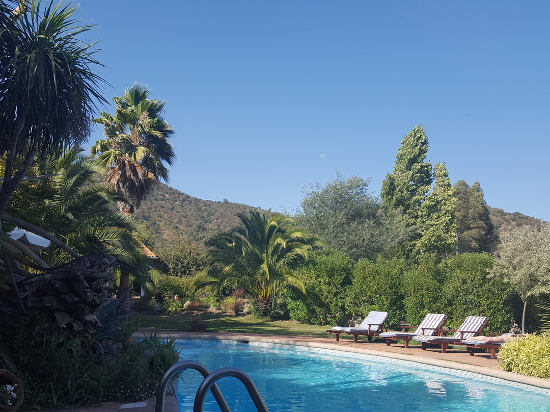 Hotel Boutique Solaz Bella Vista de Colchagua主图