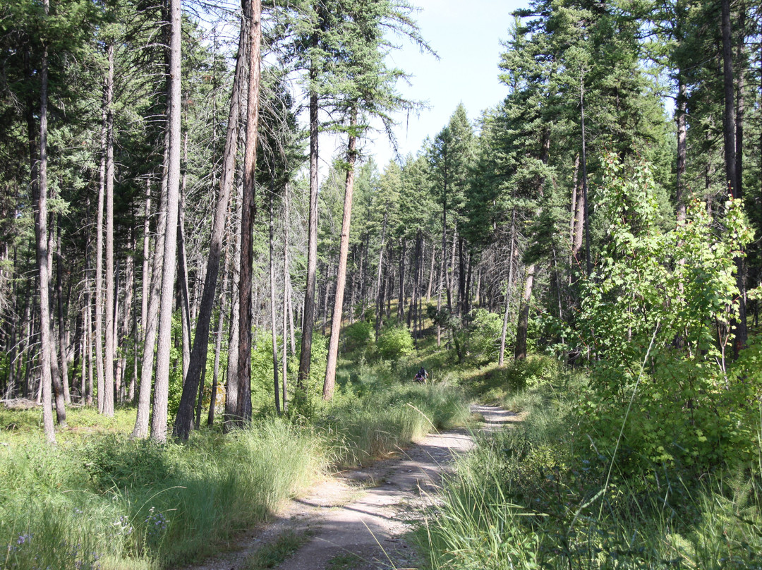 The Whitefish Trail景点图片