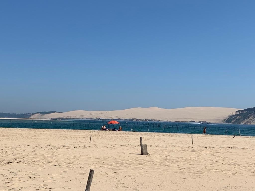 Banc D'arguin-Pyla-sur-Mer必去景点