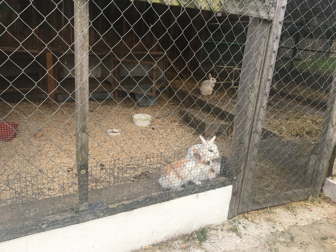 Gaestehaus Kirchenbauerhof主图