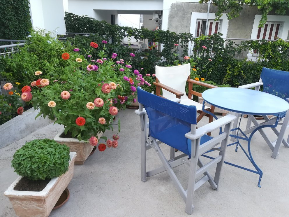 Avra Hotel主图