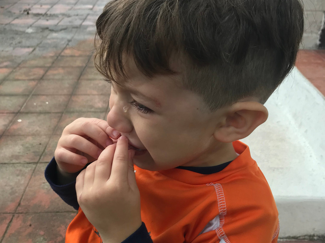 Hosteria Casa Giralda主图