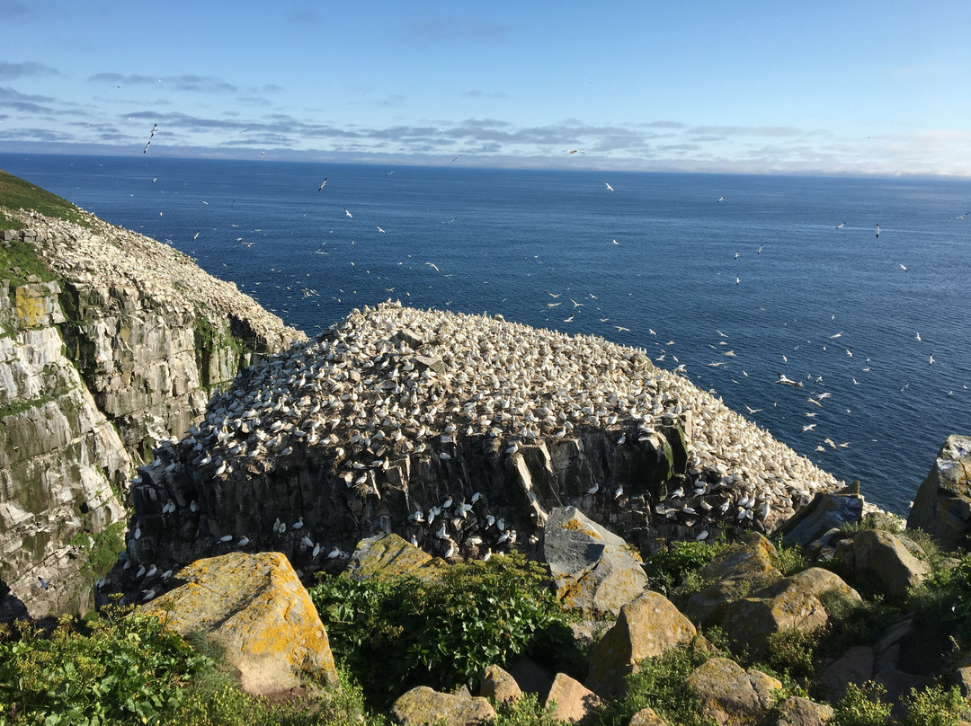 Capeway Inn & Suites主图