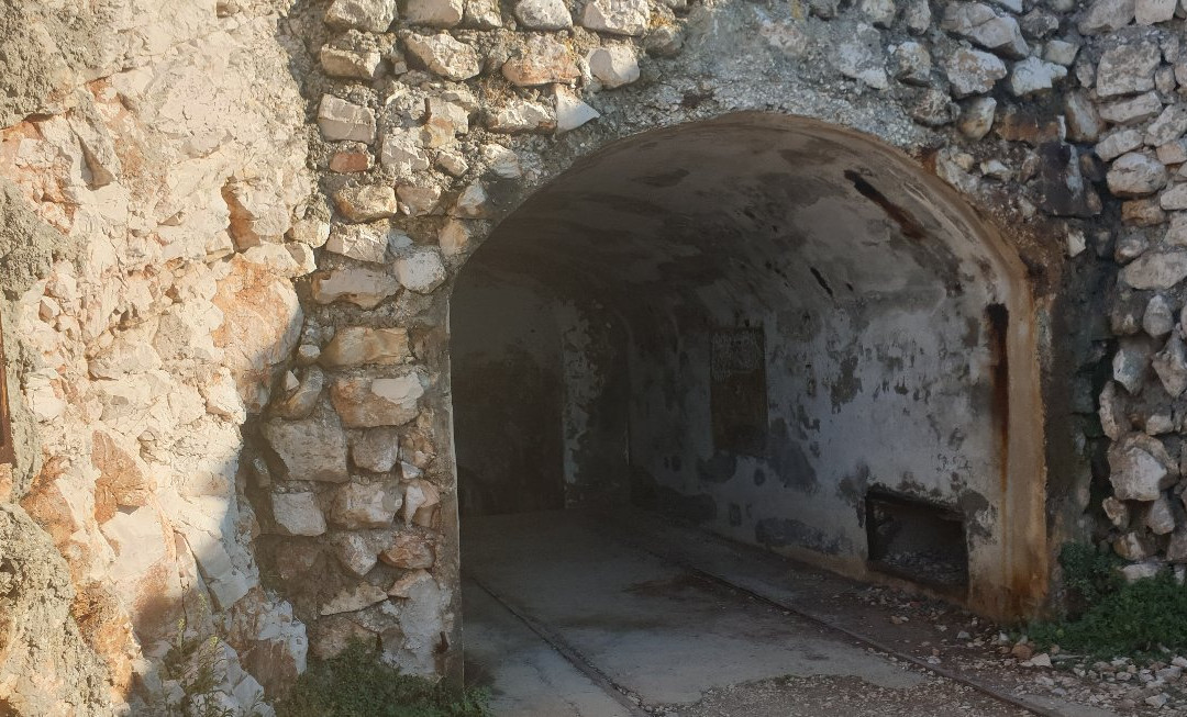 Navigator - Day Tours-维斯必去景点