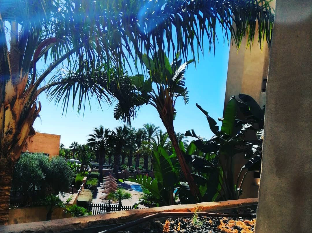 Mar Canela Apartments