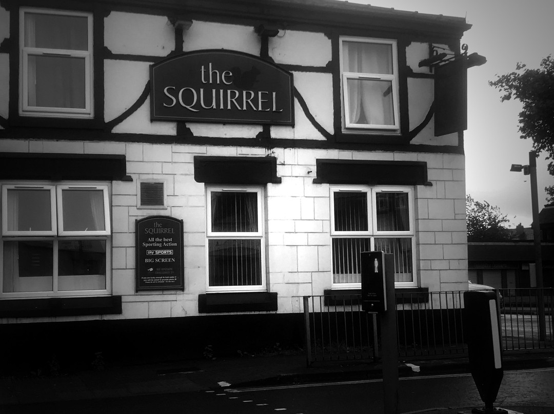 The Squirrel景点图片