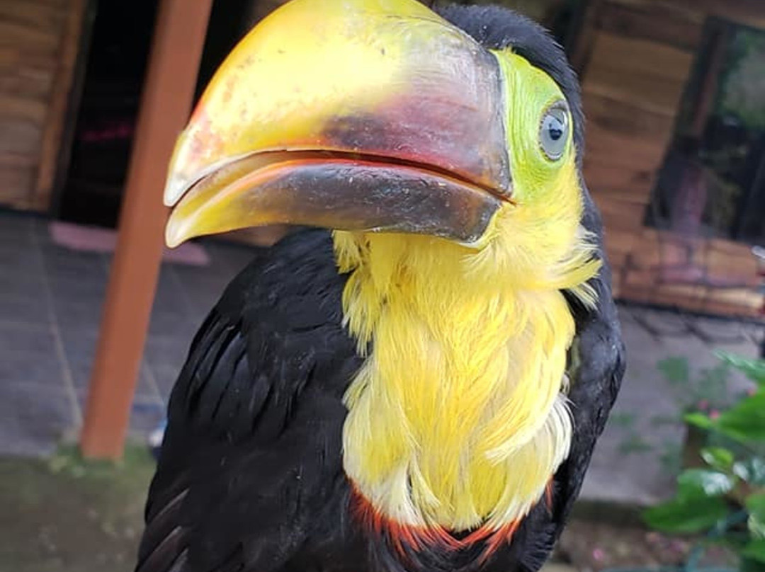 Little Paradise主图