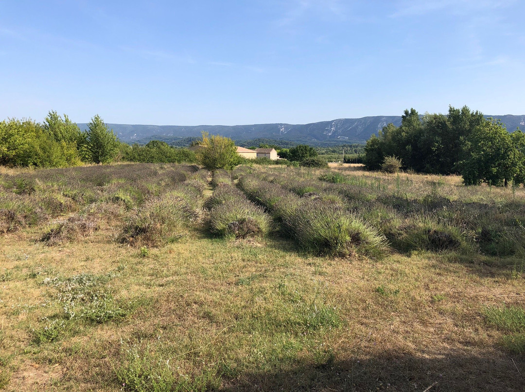 La Bastide de Voulonne主图