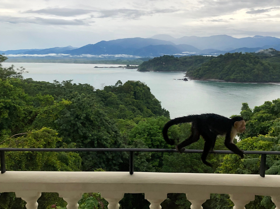 Parador Resort & Spa主图