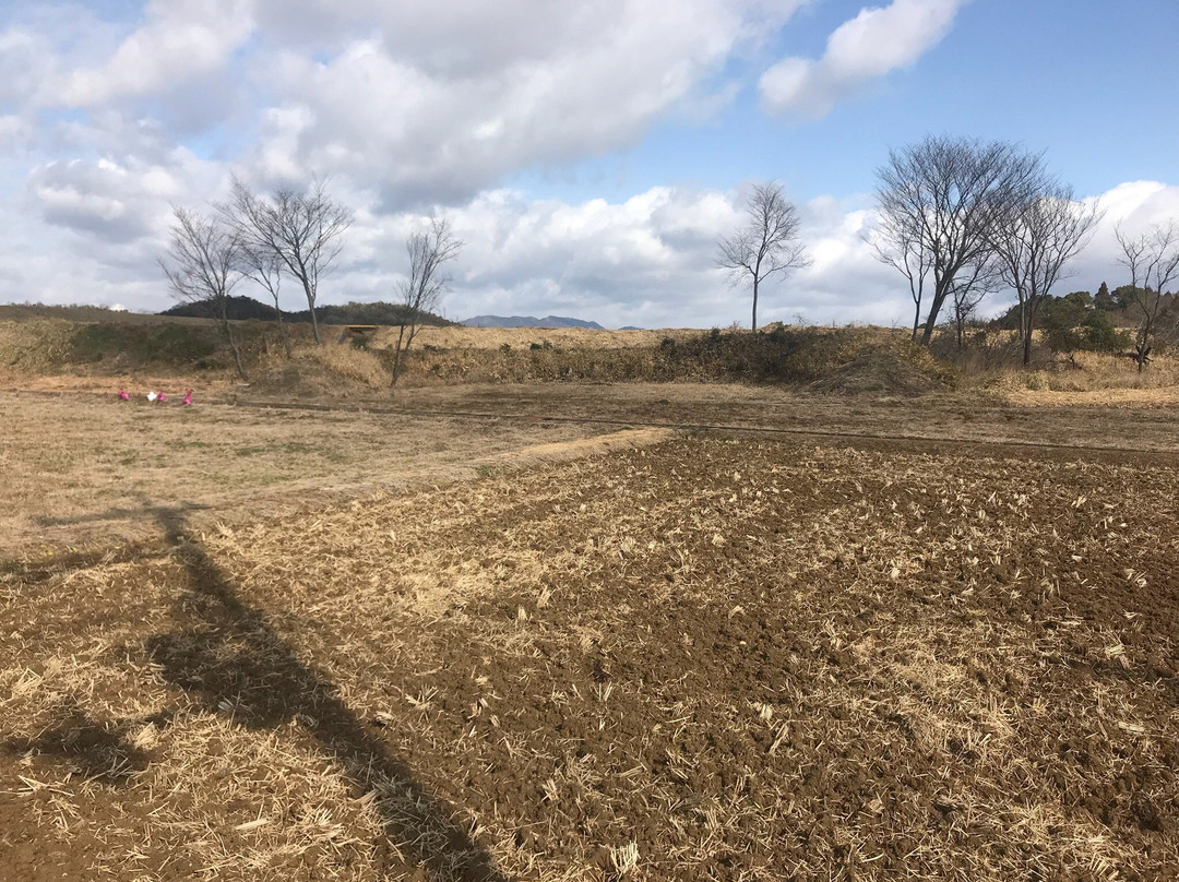 Uzurano Airfield-加西市必去景点