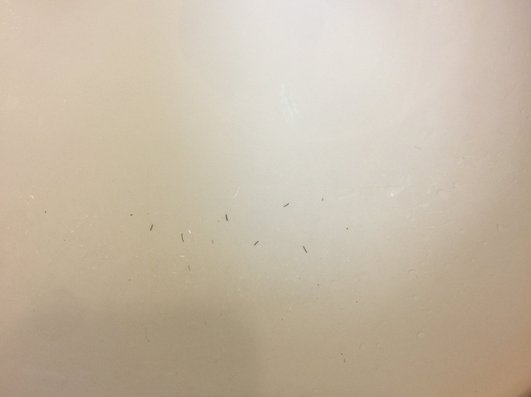 Candlewood Suites La Crosse by IHG主图