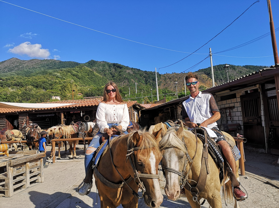 Horse Riding Tour景点图片