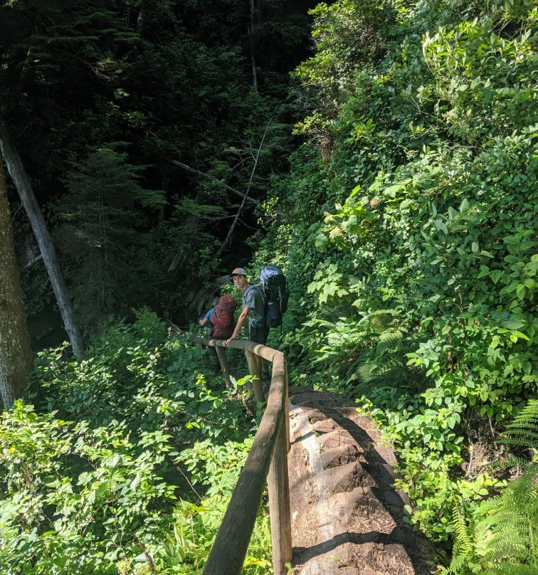 Coastal Bliss Adventures - Day Tours景点图片
