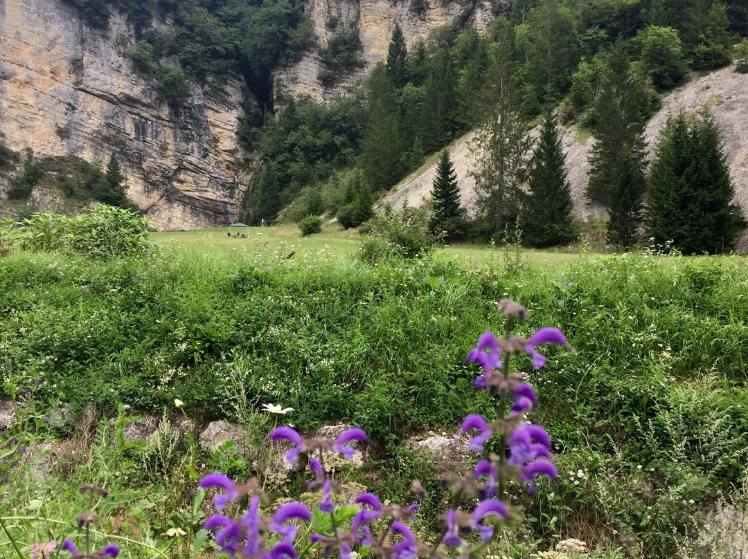 Parco La Cascatella-Castello Tesino必去景点