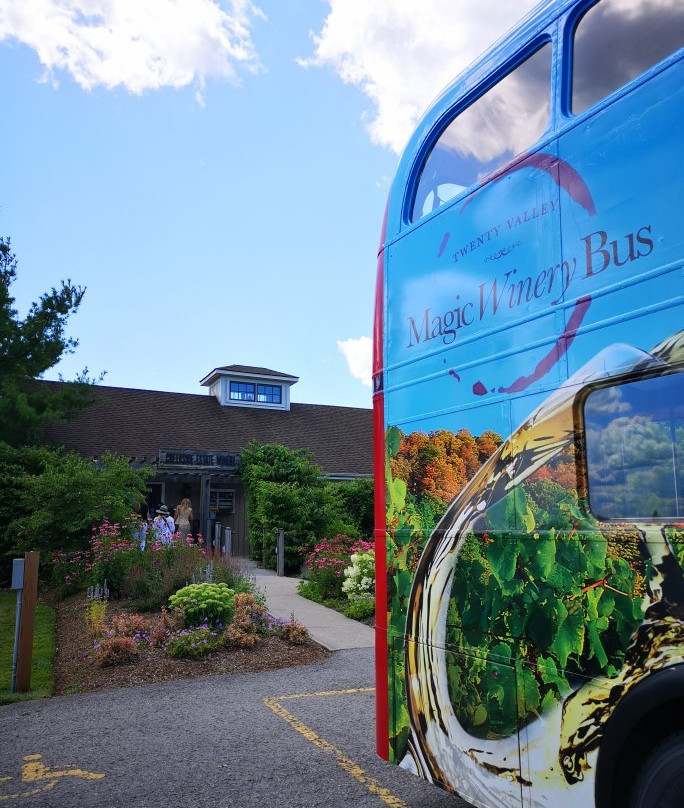 Magic Winery Bus景点图片