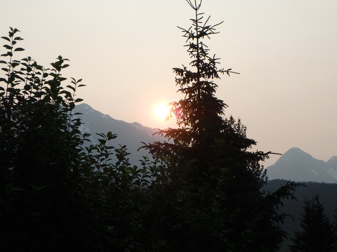 Midnight Sun Log Cabins主图