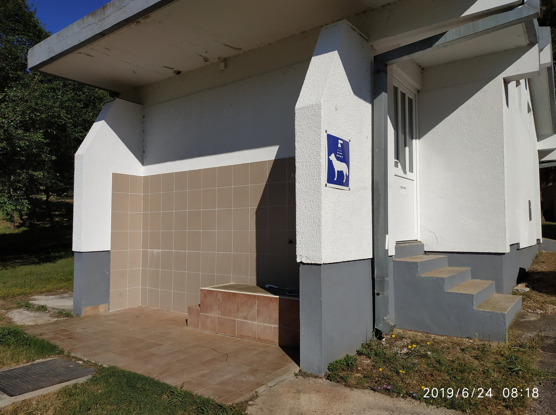 Apartments Kanegra Plava Laguna主图