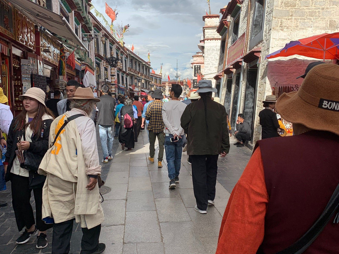 Xizang Travel Expert Service-拉萨市必去景点