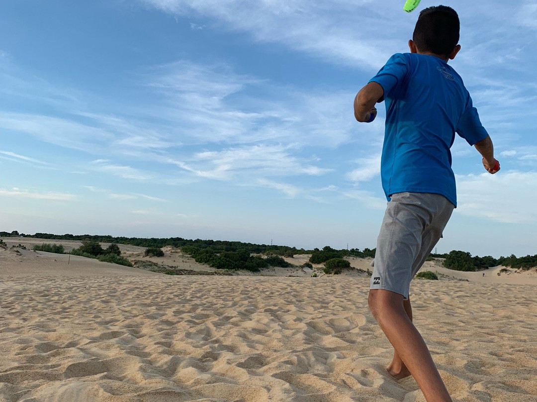 Kitty Hawk Kites景点图片