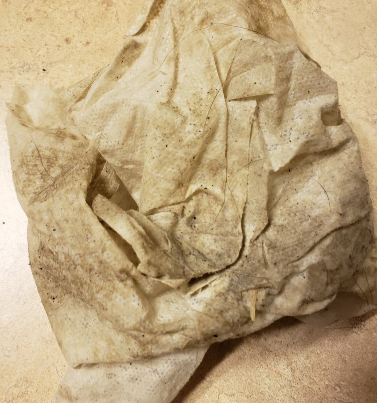 Days Inn by Wyndham Chetwynd主图