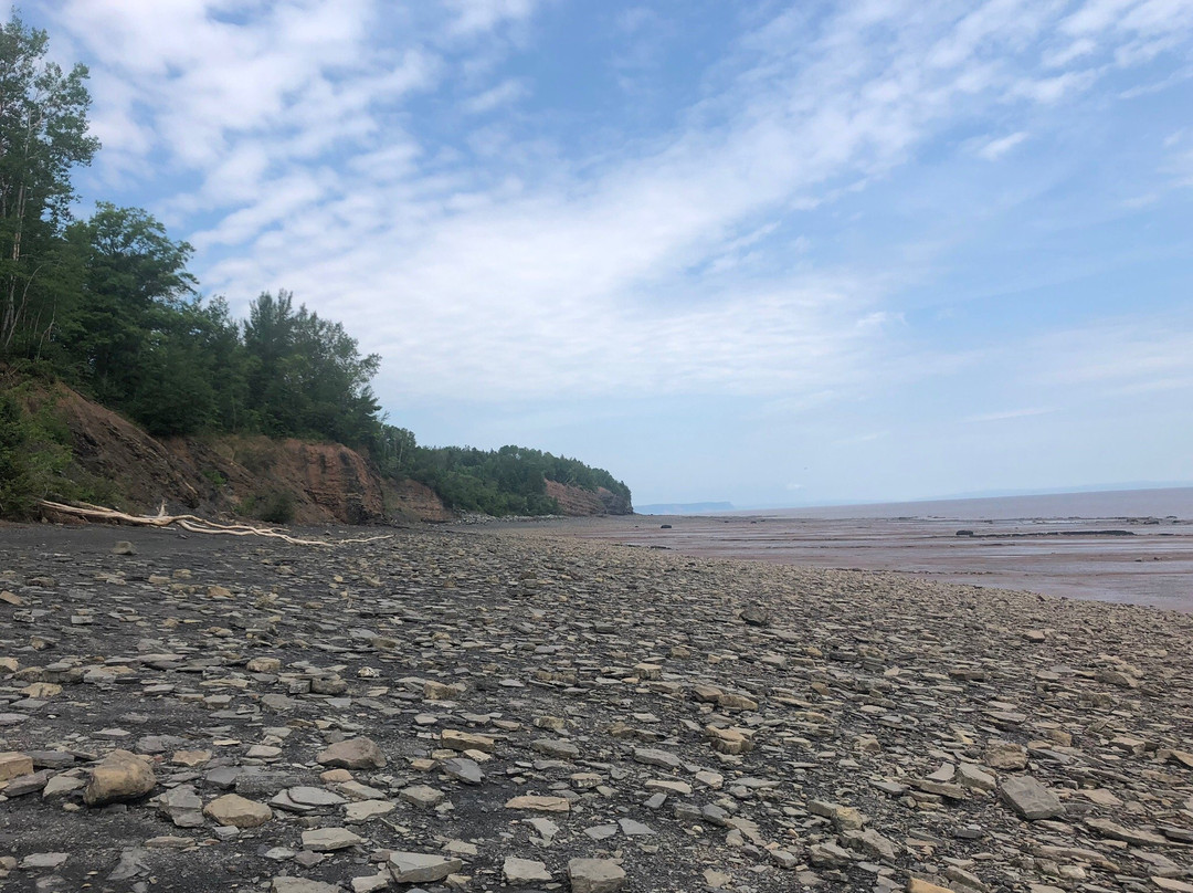 Blue Beach Fossil Museum-Hantsport必去景点