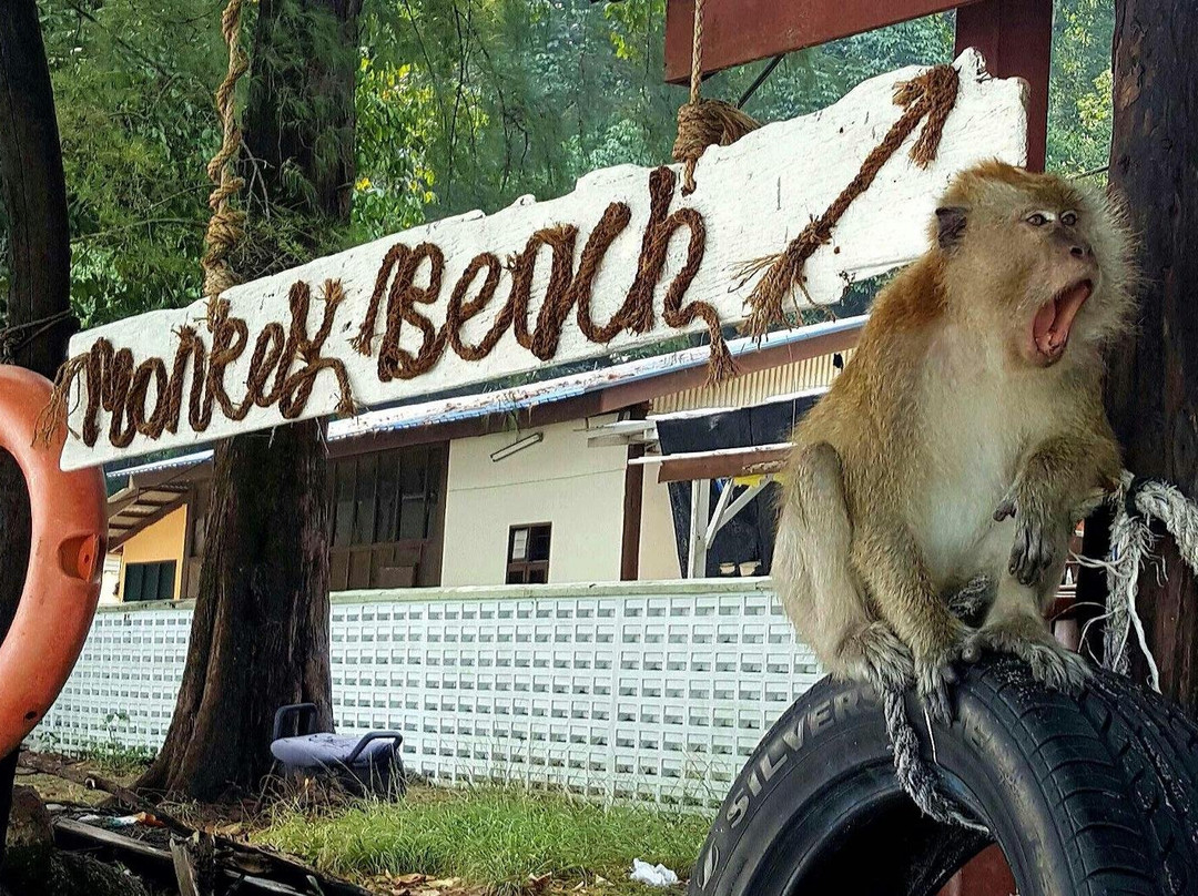 PENANG TOUR AND TRANSPORT SERVICE-乔治城必去景点