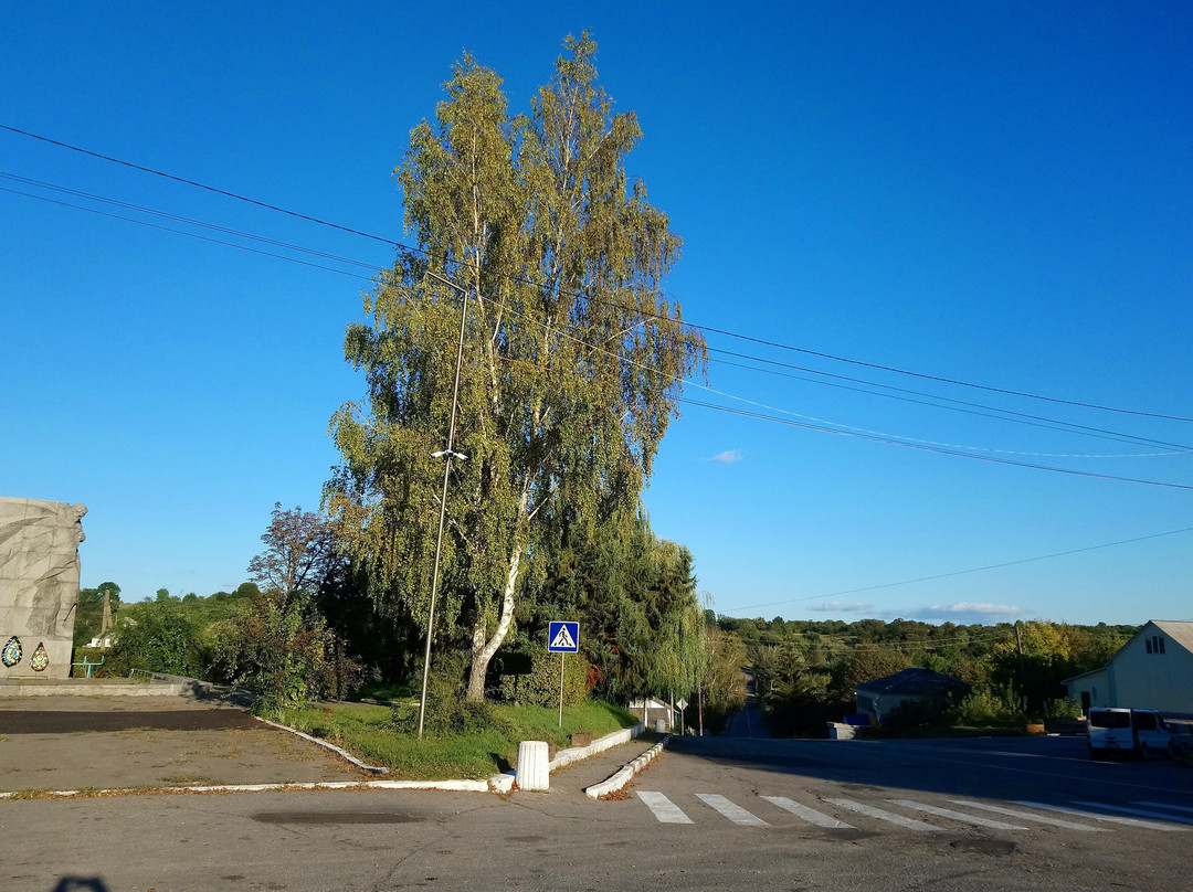 Medvyn旅游攻略图片