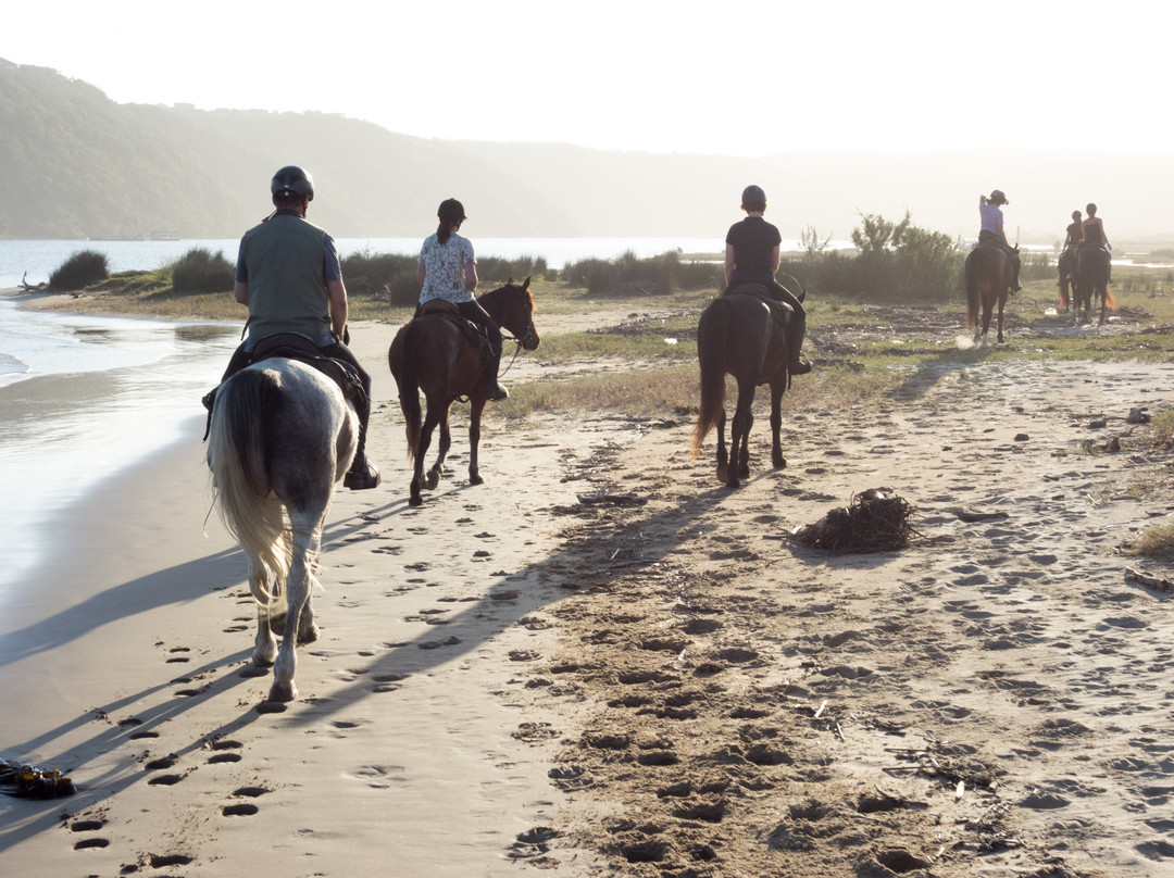 Wild Coast Horse Riding Adventures景点图片