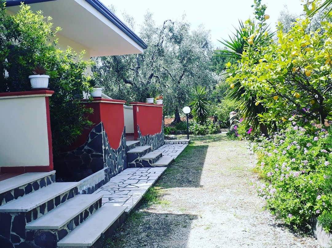 B&B Uliveto Del Gargano主图